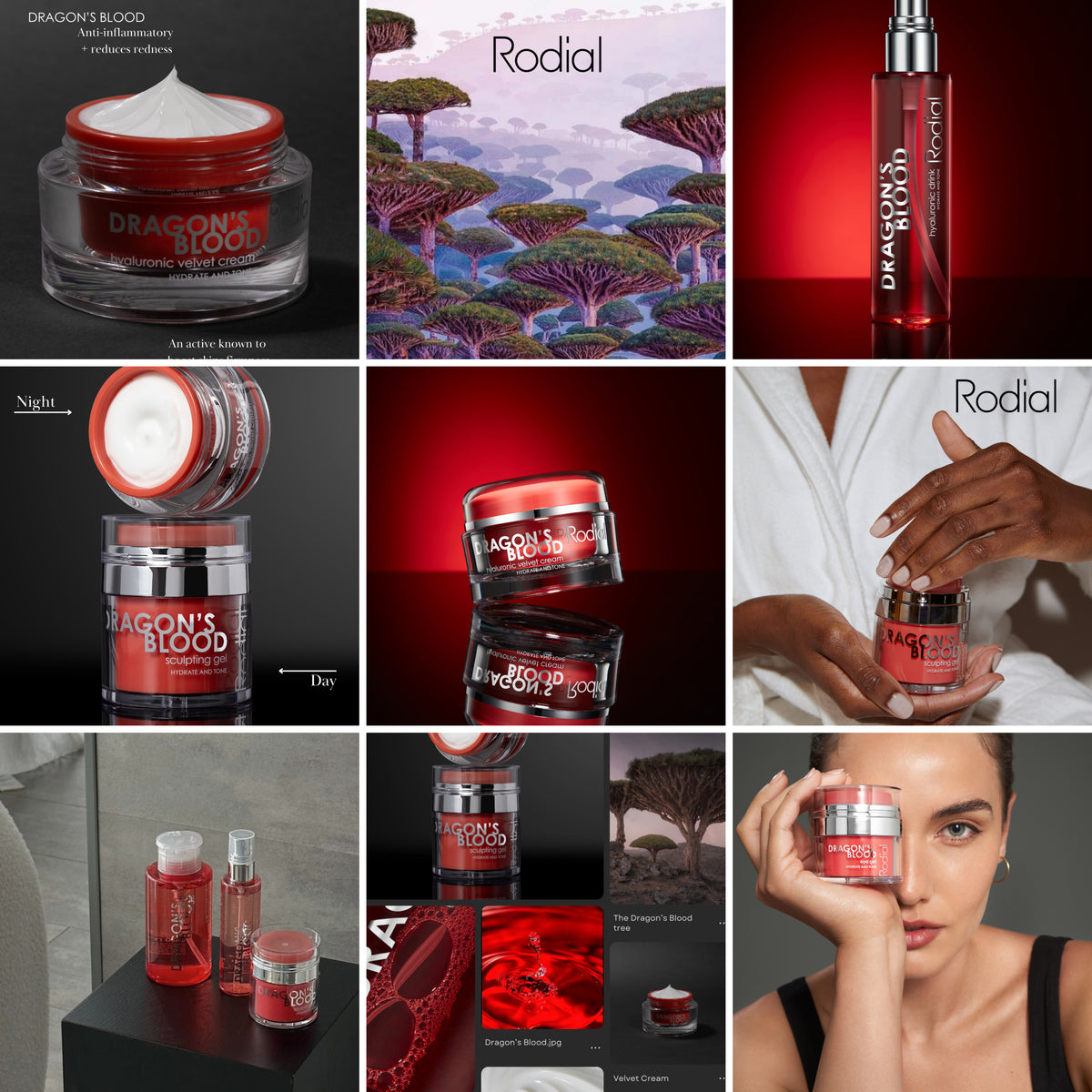 Meet the Founder – Rodial
